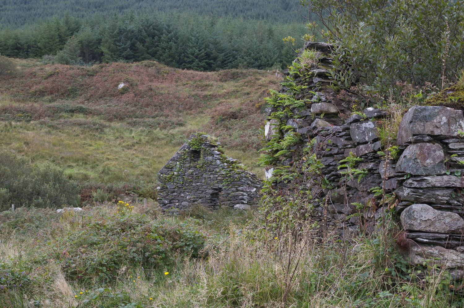 Beara, Ierland, ruïne